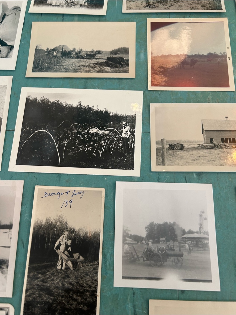 46 black white vintage farm photos animals farmers 1920’s - 1940’s ephemera - Picture 11 of 13